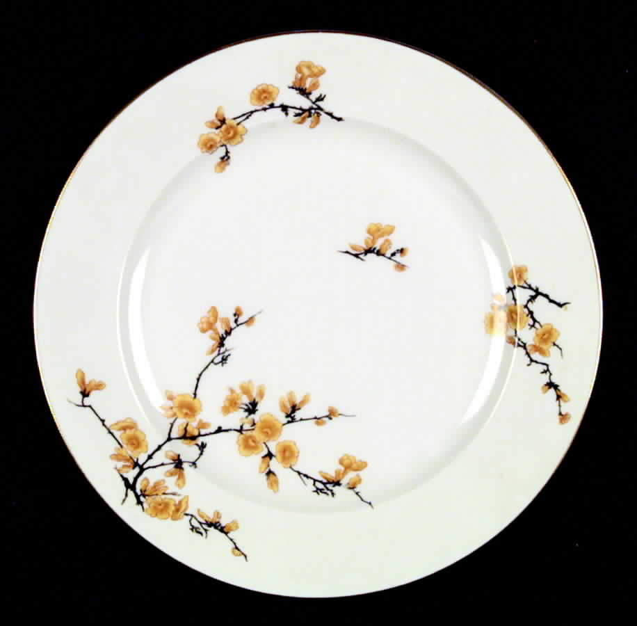ROB19 Dinner Plate by Royal Bayreuth-1
