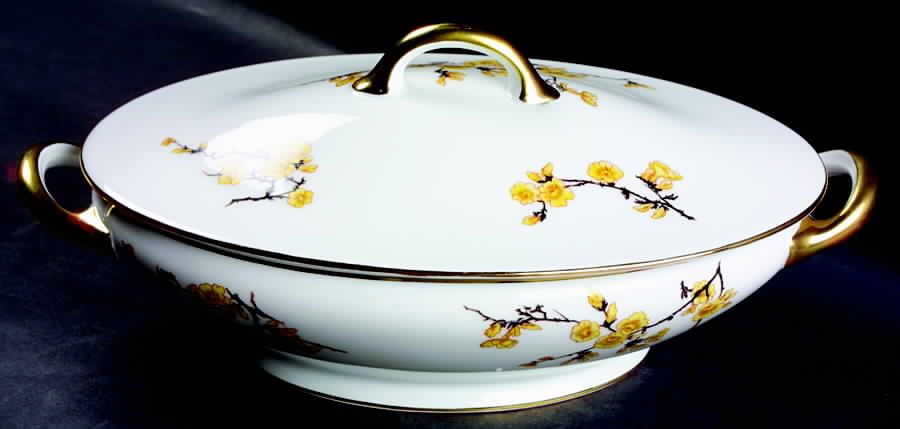 ROB19 Oval Covered Vegetable by Royal Bayreuth-1