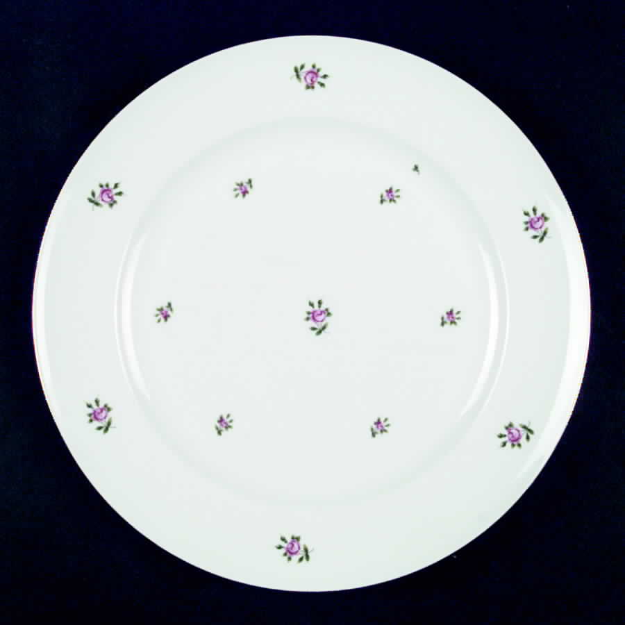 ROB23 Dinner Plate by Royal Bayreuth-1