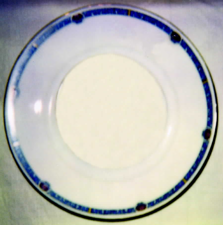ROB33 Dinner Plate by Royal Bayreuth-1