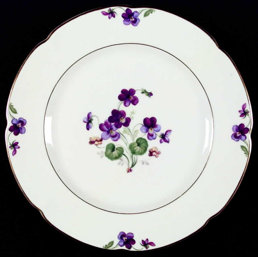 ROB6 Dinner Plate by Royal Bayreuth-1