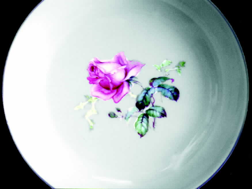 ROB80 Dinner Plate by Royal Bayreuth-1