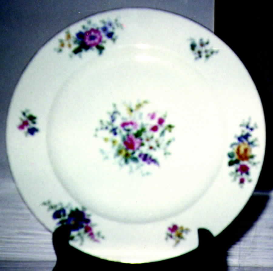 ROB87 Dinner Plate by Royal Bayreuth-1