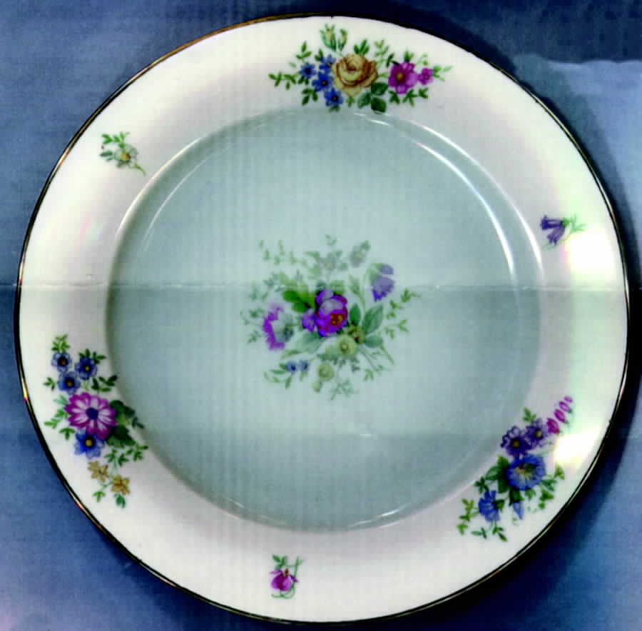 ROB87 Salad Plate by Royal Bayreuth-1