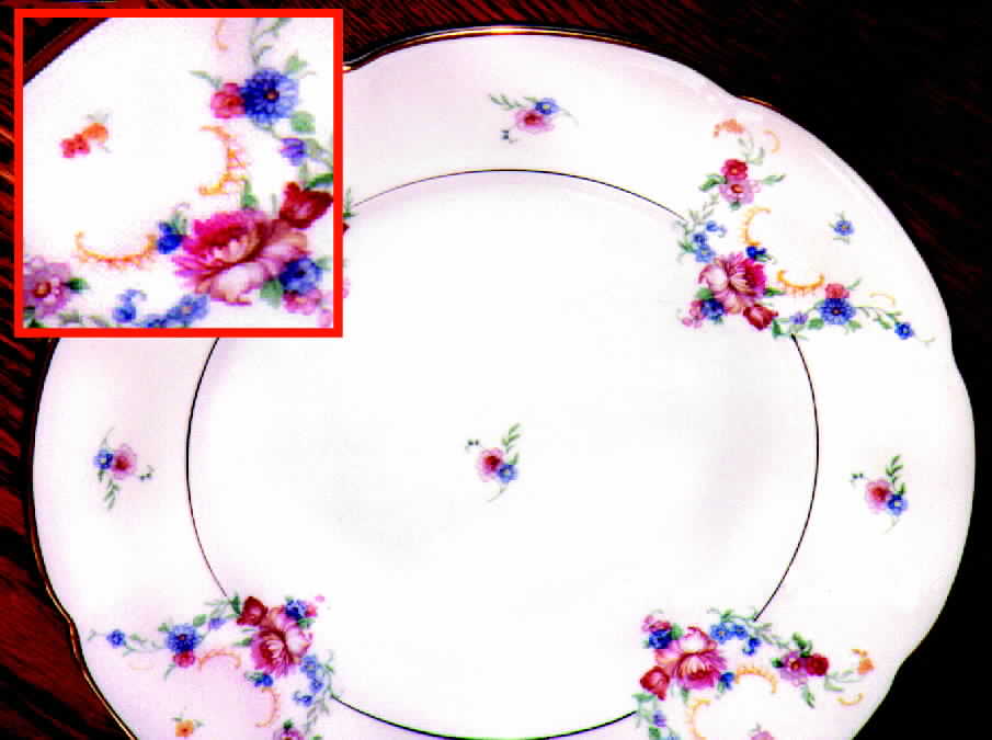 ROB88 Dinner Plate by Royal Bayreuth-1