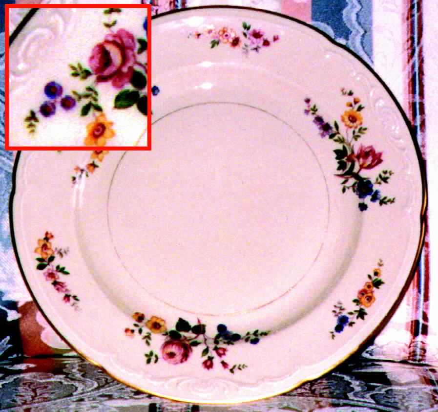 ROB95 Dinner Plate by Royal Bayreuth-1