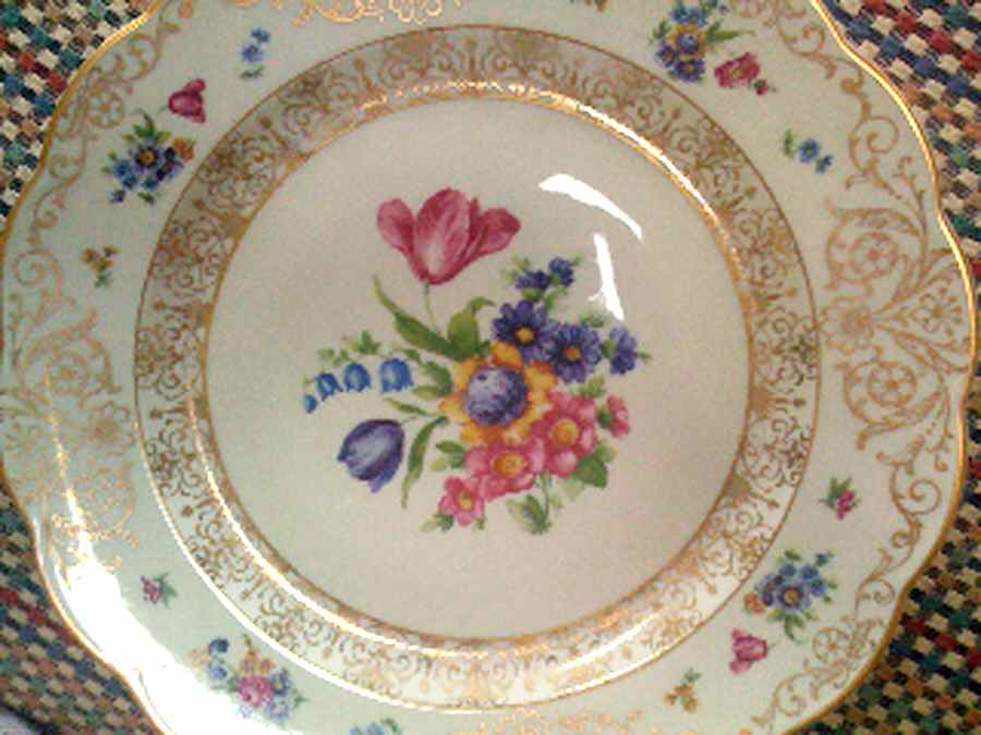 ROB97 Dinner Plate by Royal Bayreuth-1