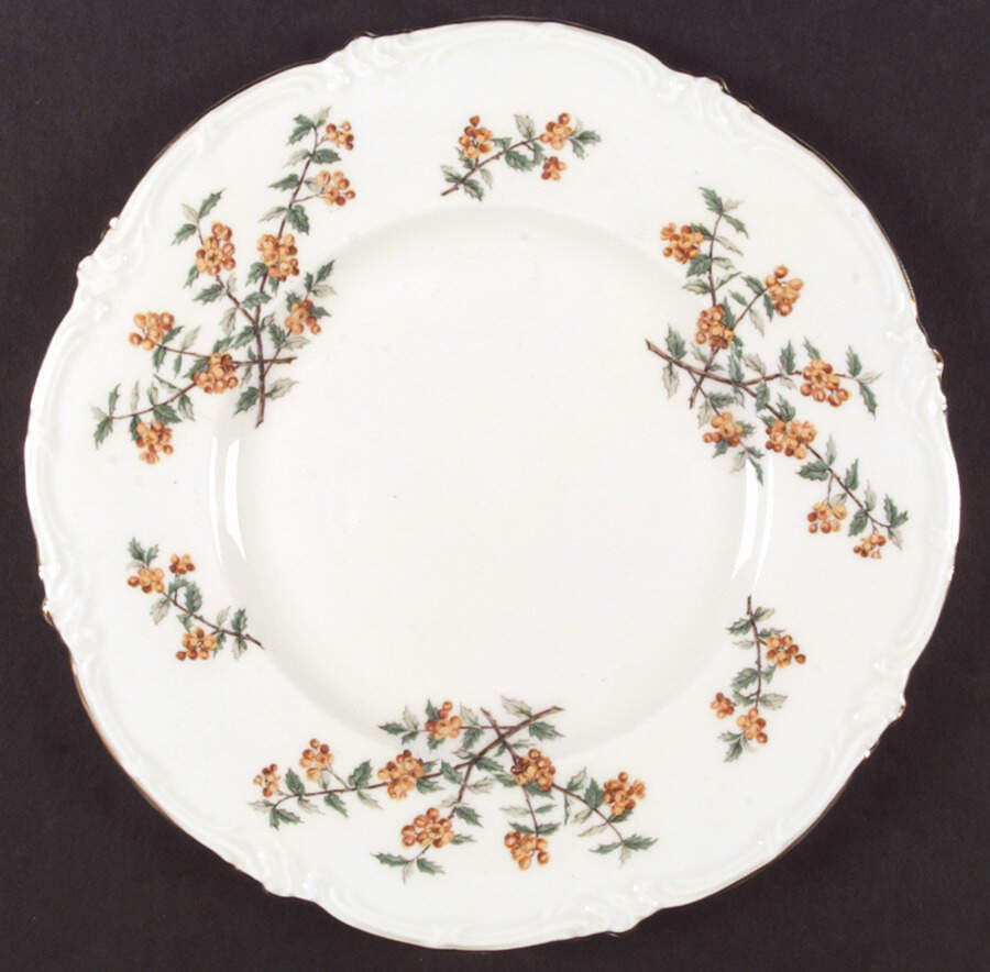 Barberry Dinner Plate by Royal Cauldon-1