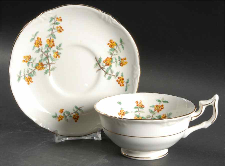 Barberry Footed Cup & Saucer Set by Royal Cauldon-1