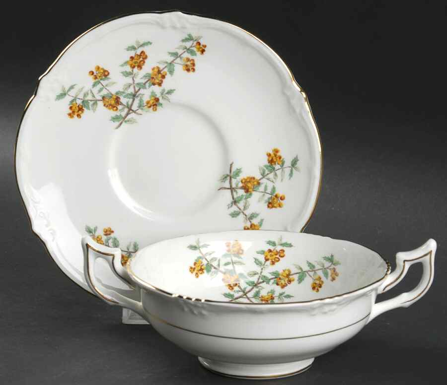 Barberry Footed Cream Soup Bowl & Saucer Set by Royal Cauldon-1