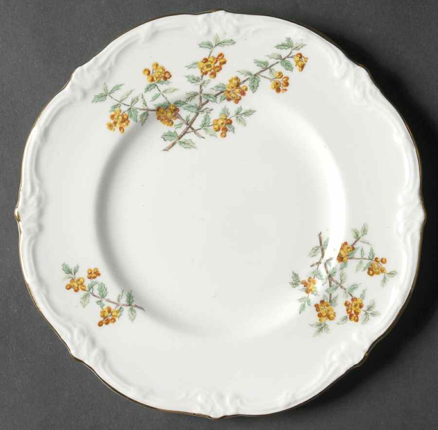 Barberry Bread & Butter Plate by Royal Cauldon-1