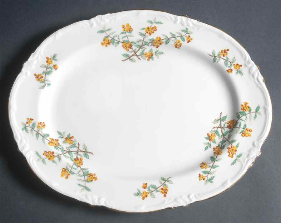 Barberry 12" Oval Serving Platter by Royal Cauldon-1