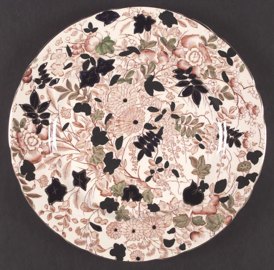 Bittersweet Dinner Plate by Royal Cauldon-1