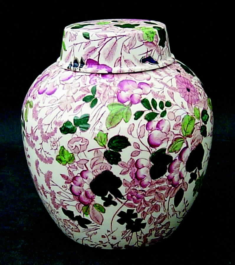 Bittersweet Medium Ginger Jar & Lid by Royal Cauldon-1