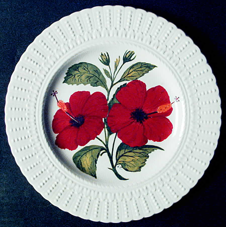 Flower of The Caribbean Luncheon Plate by Royal Cauldon-1