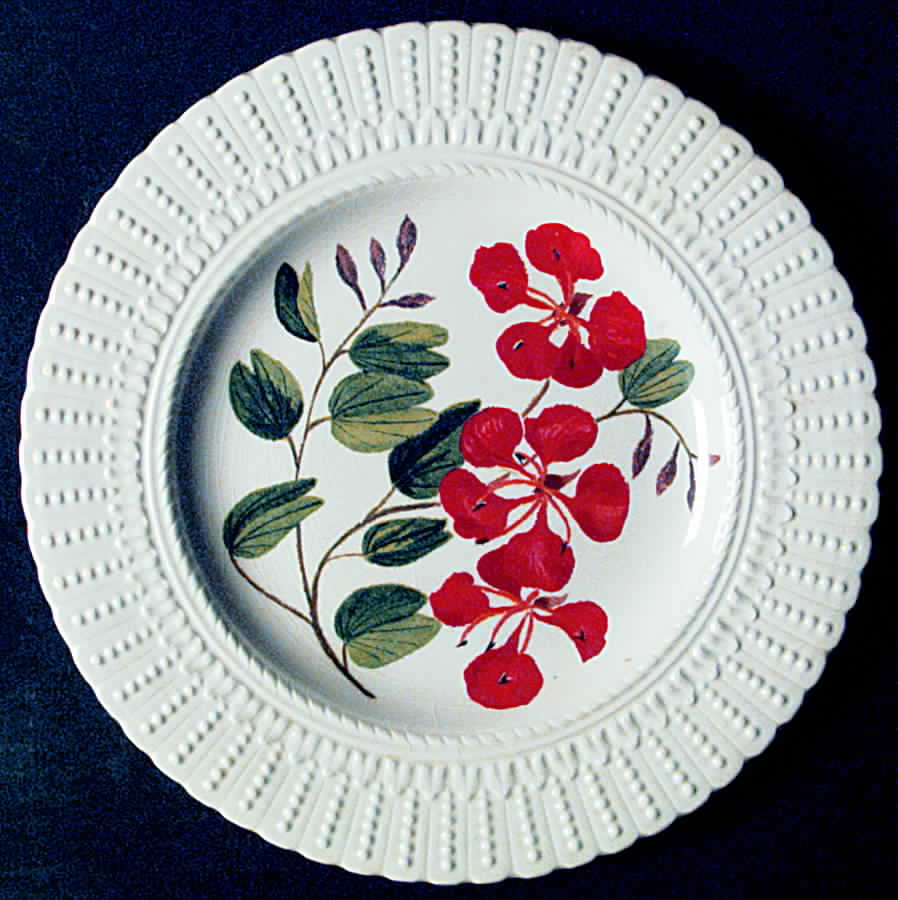 Flower of The Caribbean Luncheon Plate by Royal Cauldon-1
