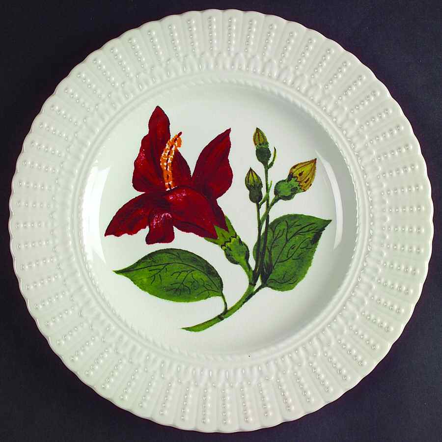 Flower of The Caribbean Luncheon Plate by Royal Cauldon-1