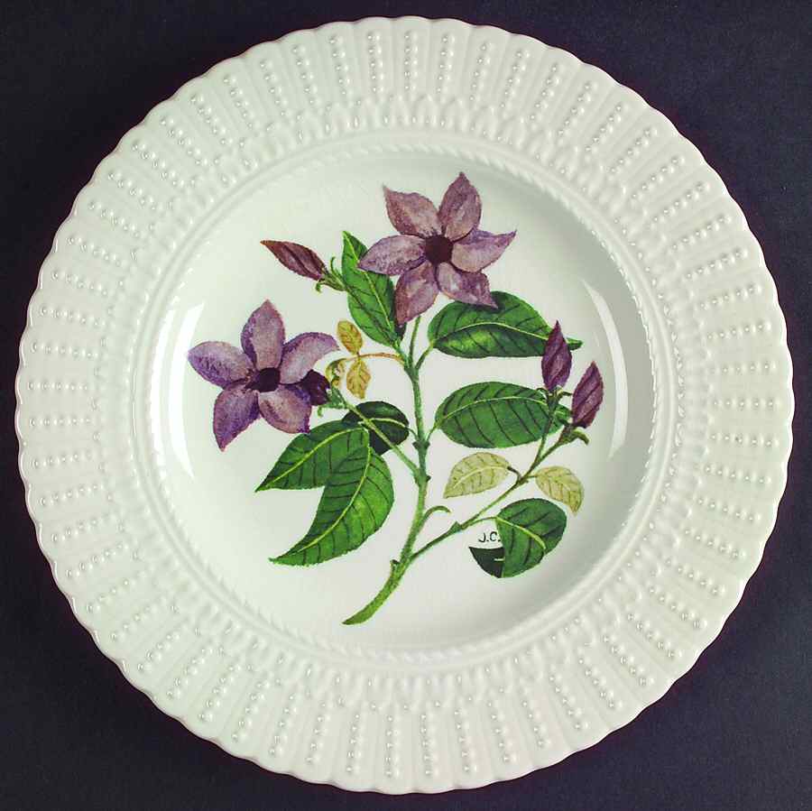 Flower of The Caribbean Luncheon Plate by Royal Cauldon-1