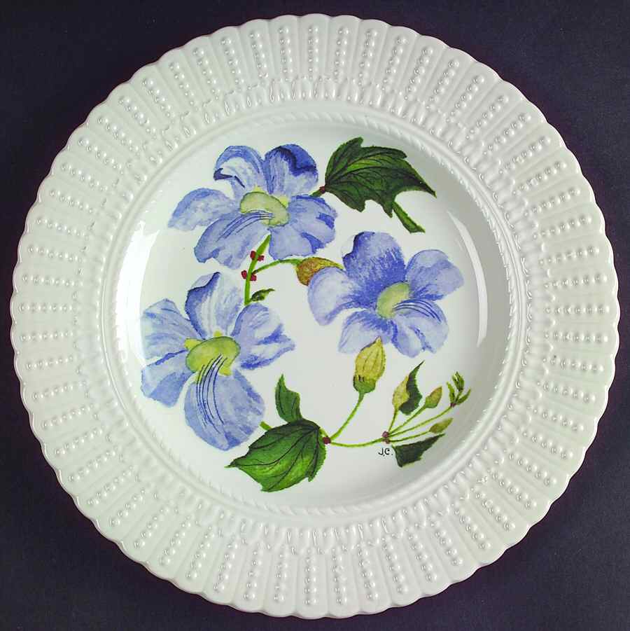 Flower of The Caribbean Luncheon Plate by Royal Cauldon-1