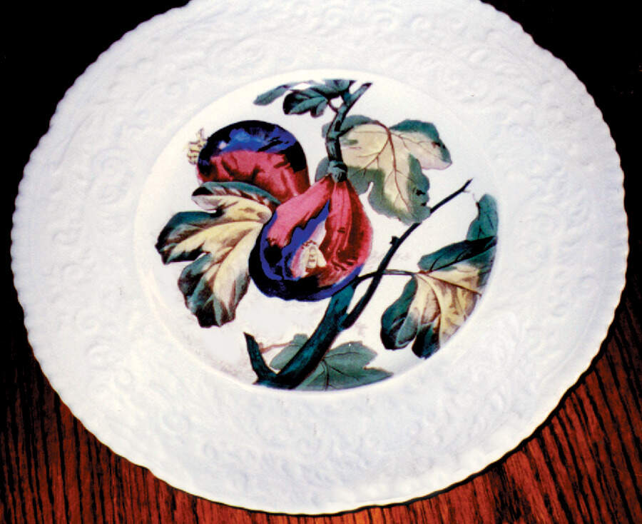 Haywood (Floral) Dinner Plate by Royal Cauldon-1