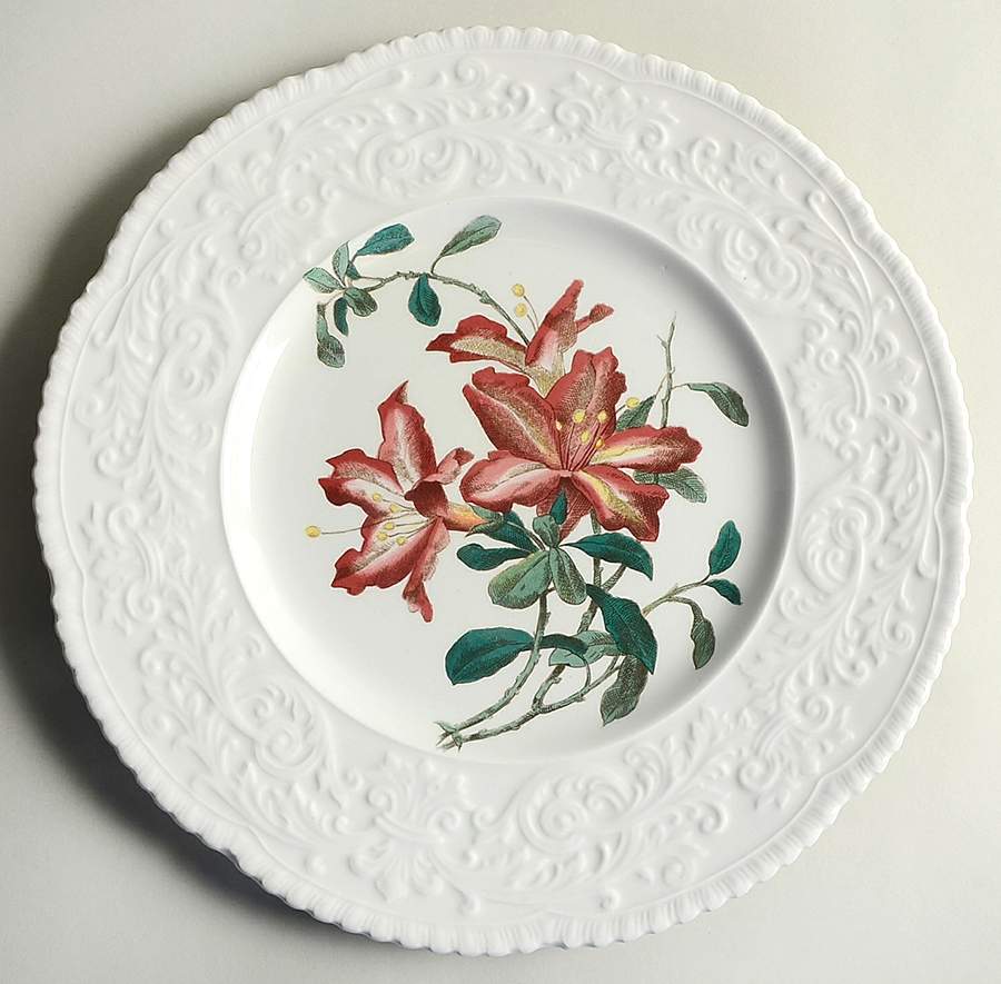 Haywood (Floral) Dinner Plate by Royal Cauldon-1