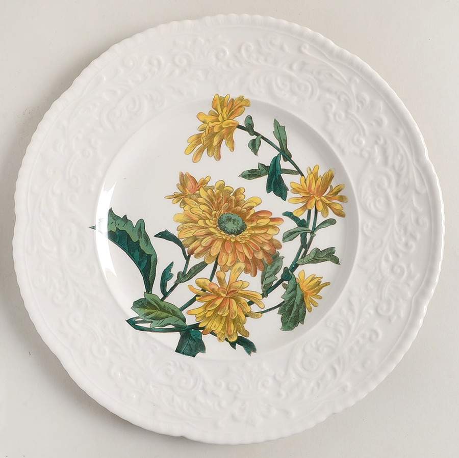 Haywood (Floral) Dinner Plate by Royal Cauldon-1