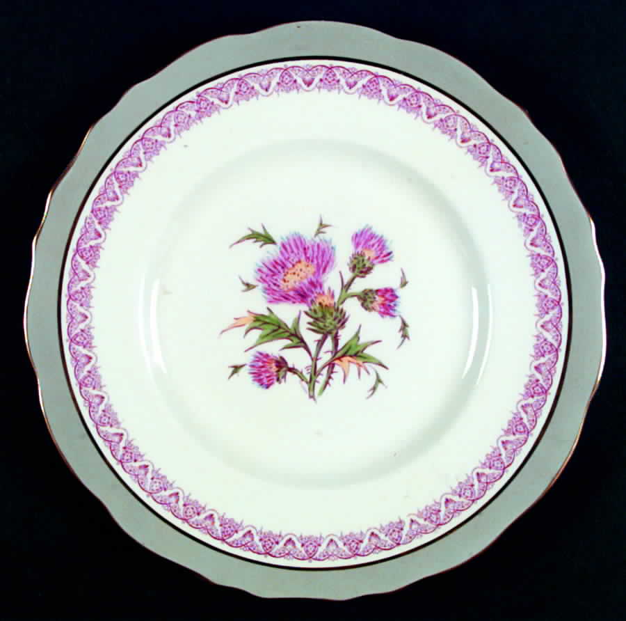 Jesdon Dinner Plate by Royal Cauldon-1