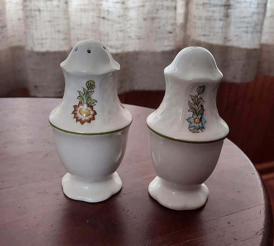 June Garden Salt & Pepper Set by Royal Cauldon-1