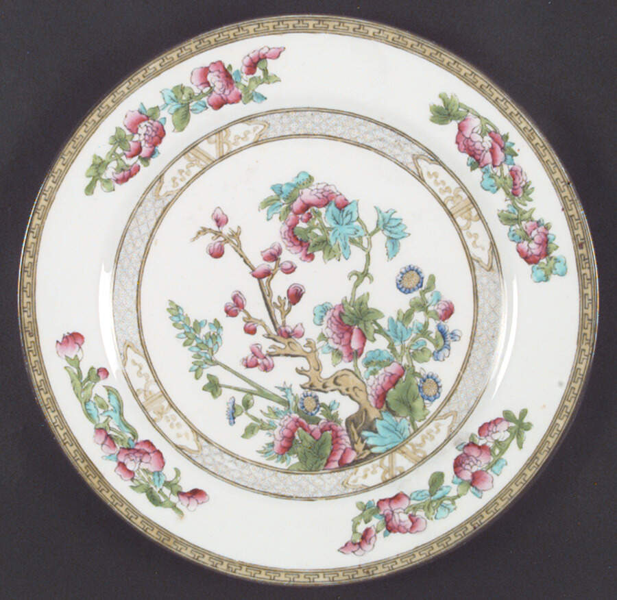 L6504 Dinner Plate by Royal Cauldon-1