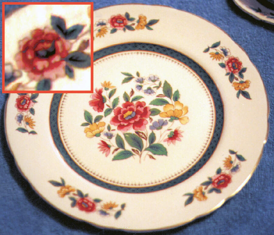 Ludlow Dinner Plate by Royal Cauldon-1