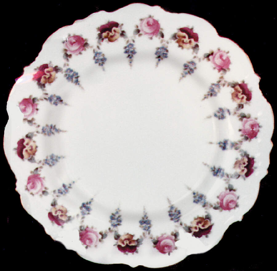 N3514 Dinner Plate by Royal Cauldon-1