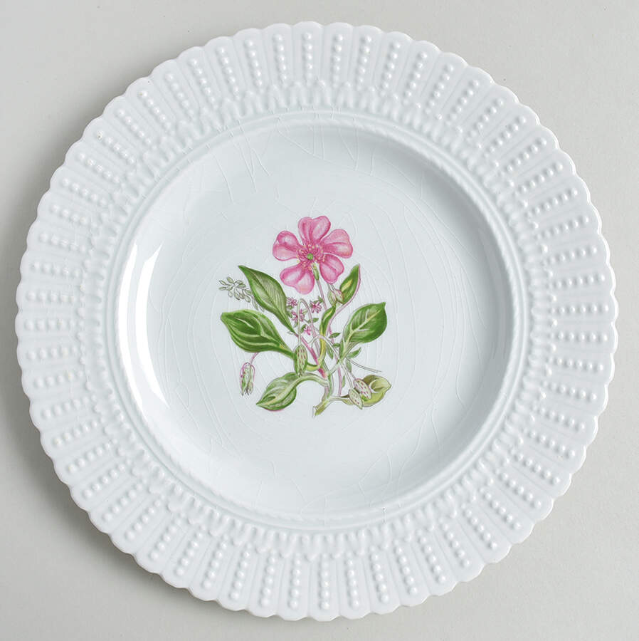 Norbury Luncheon Plate by Royal Cauldon-1