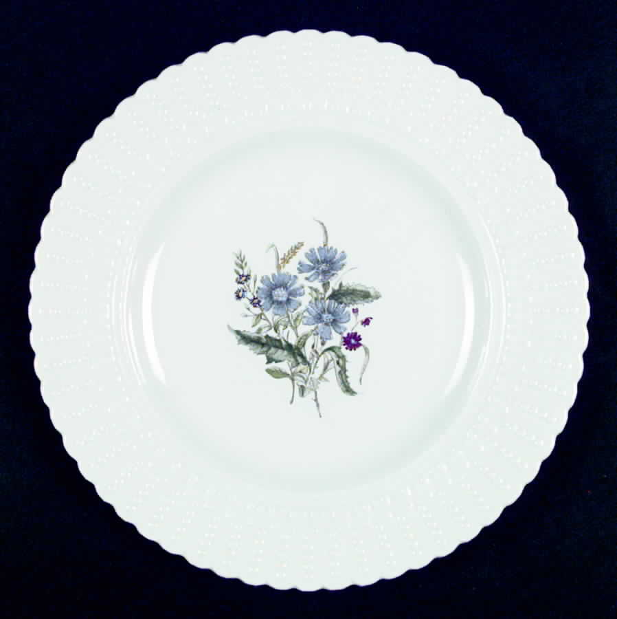 Norbury Dinner Plate by Royal Cauldon-1