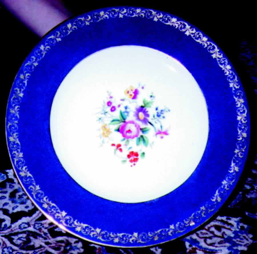ROC11 Dinner Plate by Royal Cauldon-1