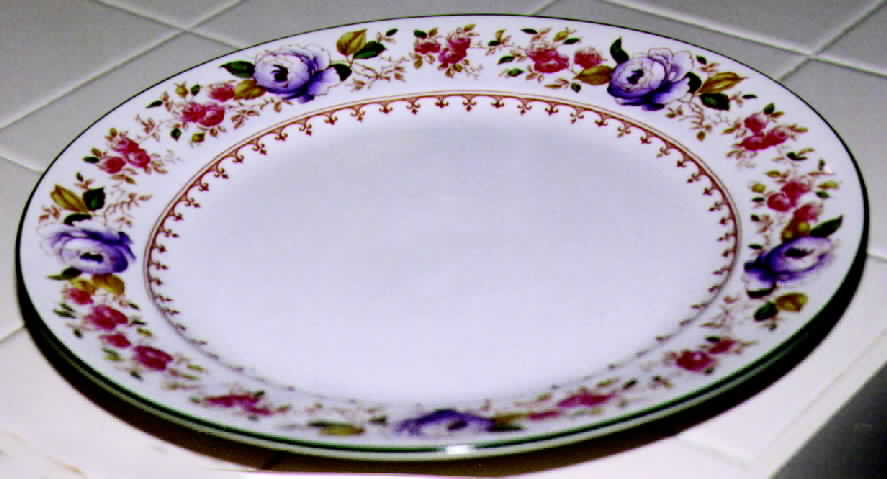 ROC12 Dinner Plate by Royal Cauldon-1