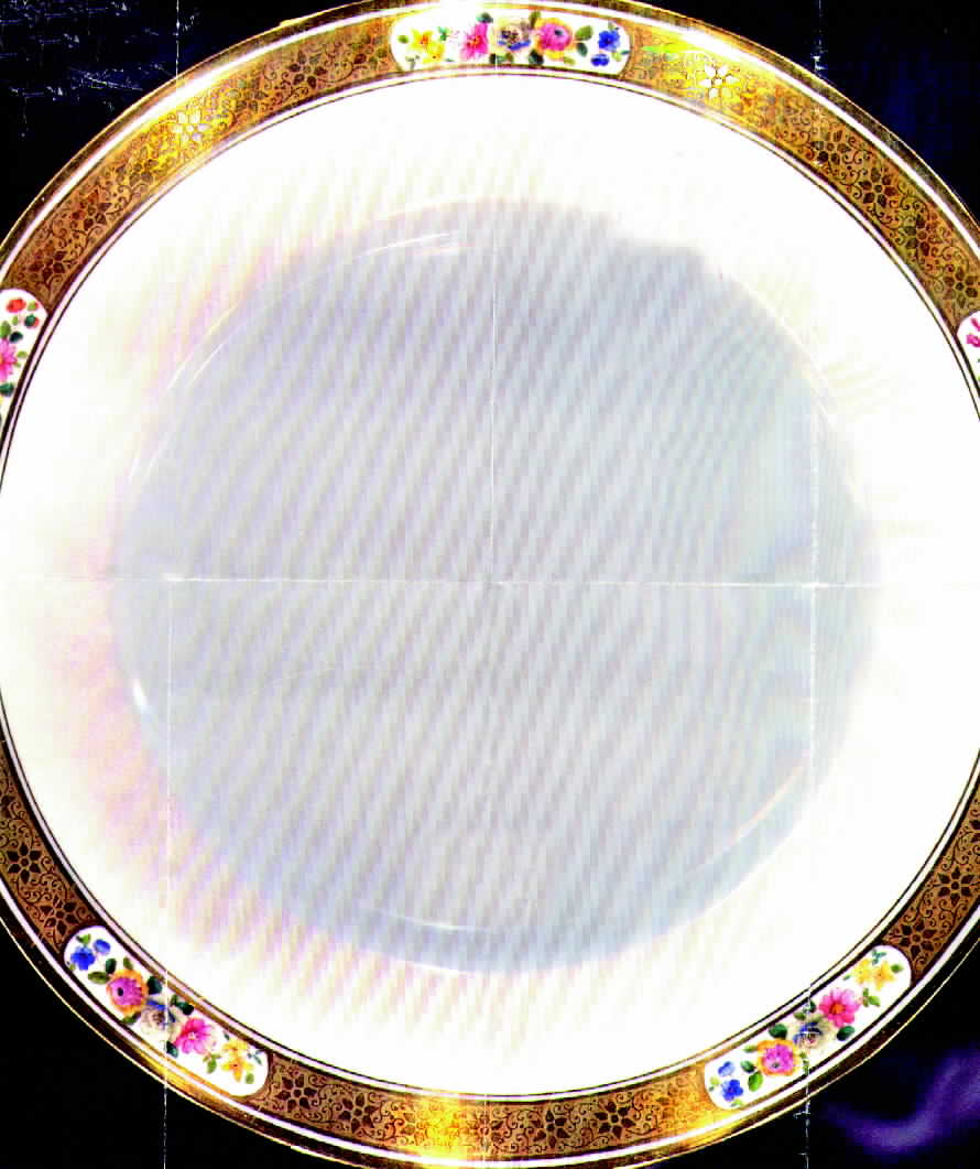 ROC13 Dinner Plate by Royal Cauldon-1