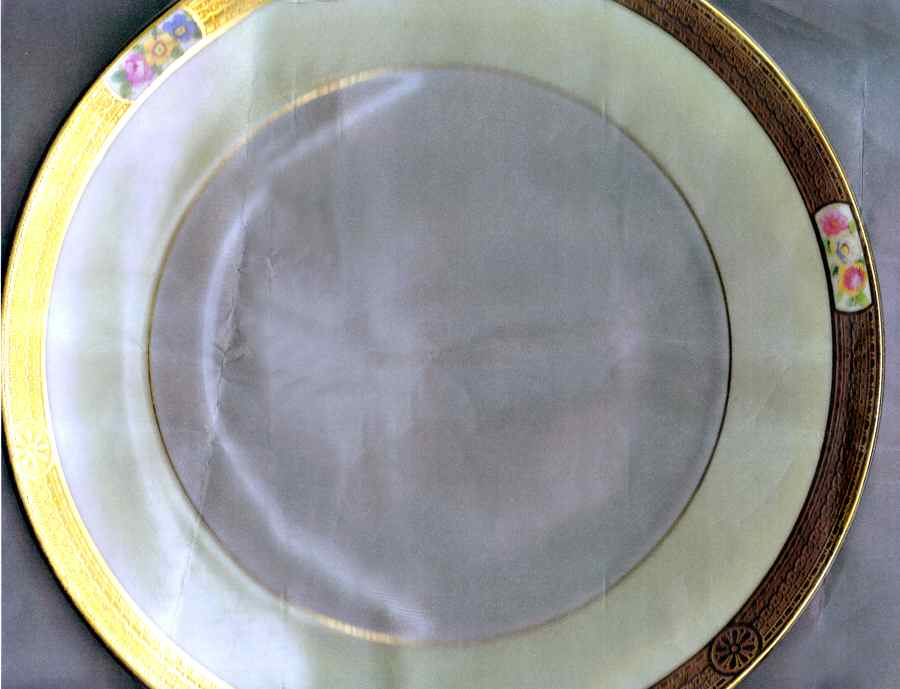 V3531 Dinner Plate by Royal Cauldon-1