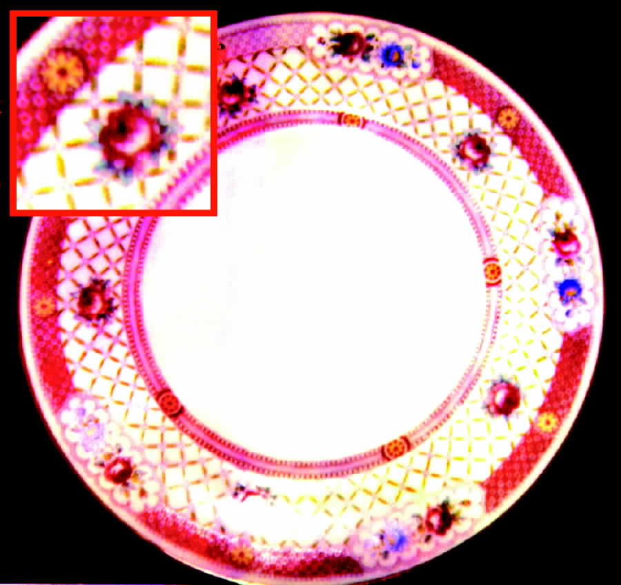 ROC36 Dinner Plate by Royal Cauldon-1