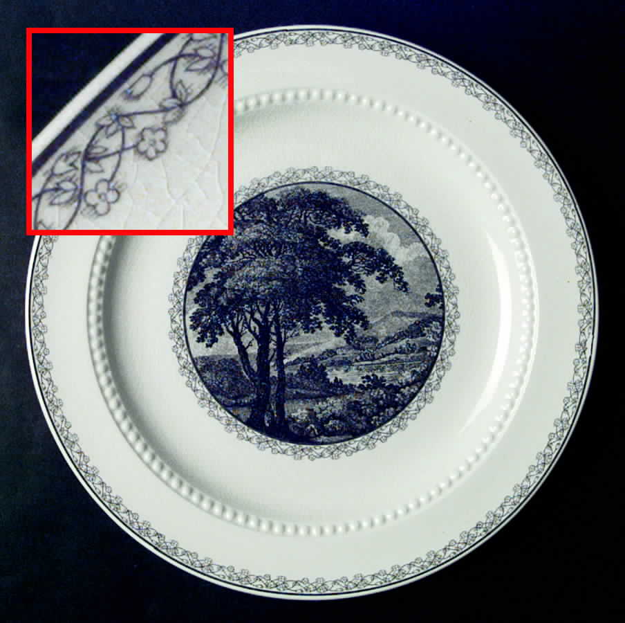 Scenario Black Dinner Plate by Royal Cauldon-1