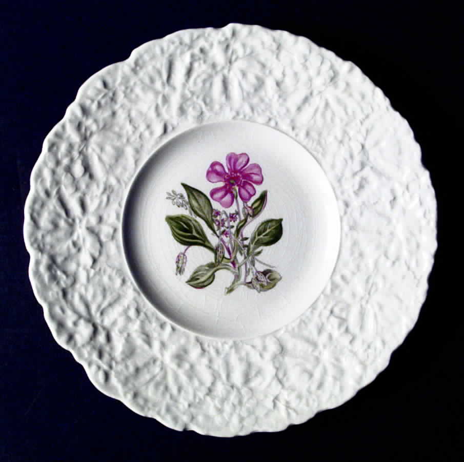 Woodstock Luncheon Plate by Royal Cauldon-1