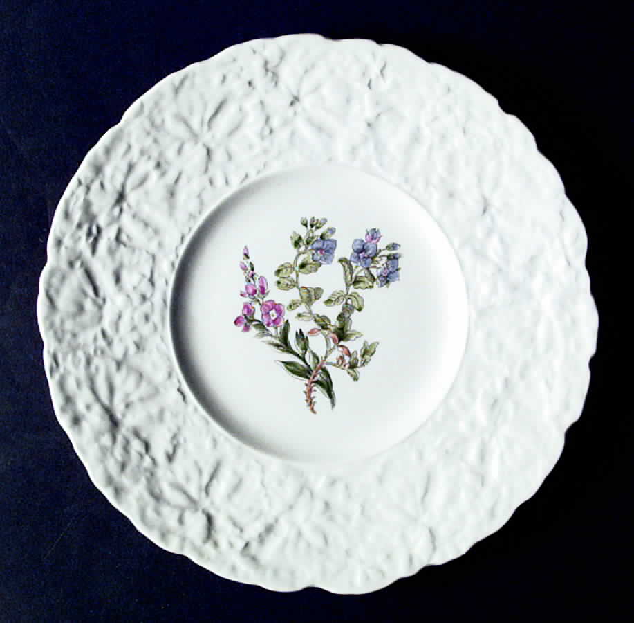 Woodstock Luncheon Plate by Royal Cauldon-1