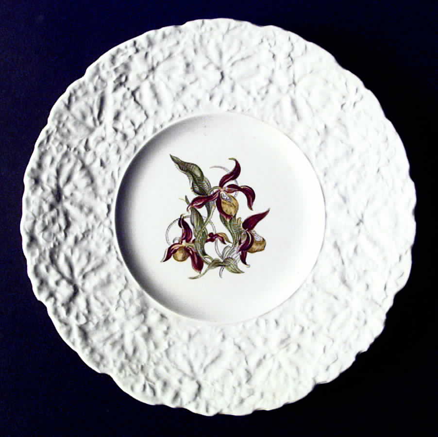 Woodstock Luncheon Plate by Royal Cauldon-1
