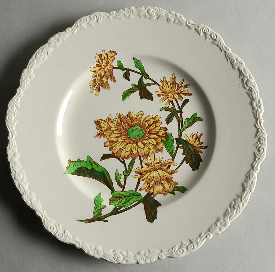 X2893 Dinner Plate by Royal Cauldon-1