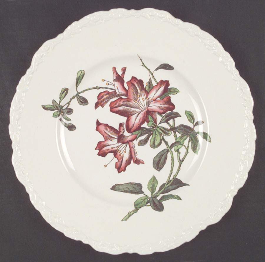 X2893 Dinner Plate by Royal Cauldon-1