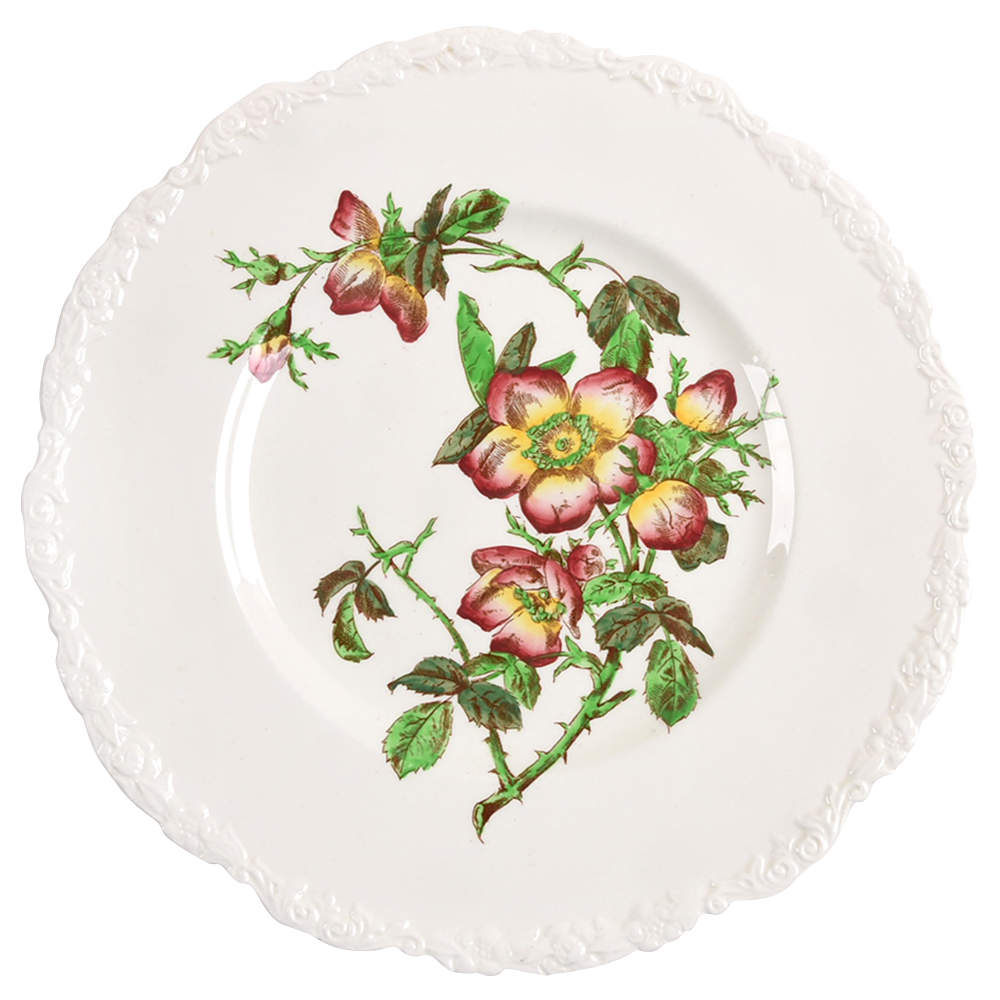 X2893 Dinner Plate by Royal Cauldon-1