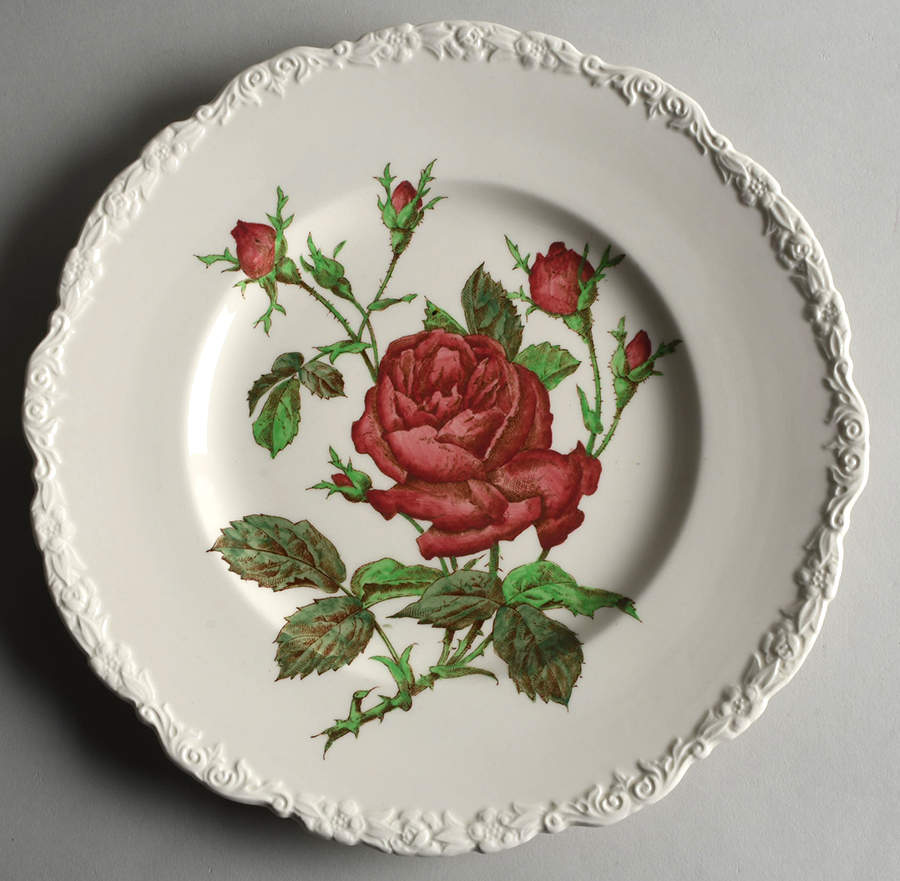 X2893 Dinner Plate by Royal Cauldon-1