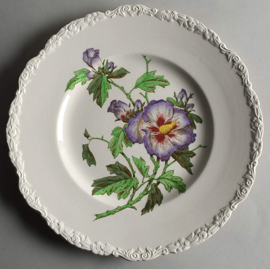 X2893 Dinner Plate by Royal Cauldon-1