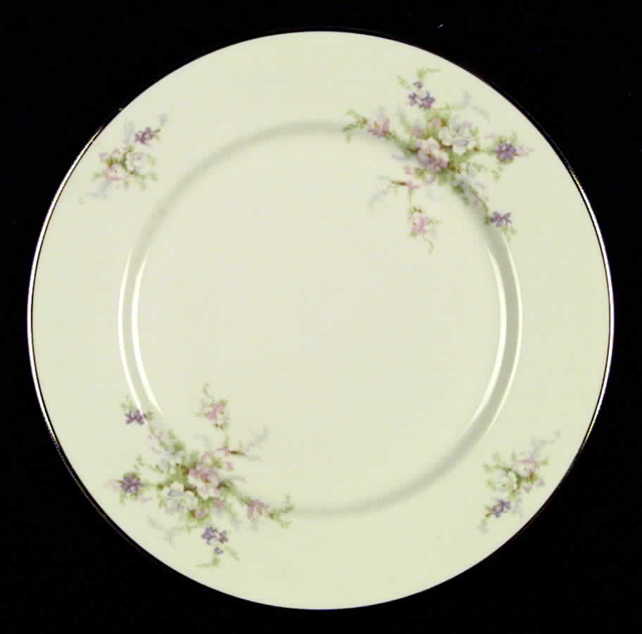 Appleblossom Dinner Plate by Royal Devon-1
