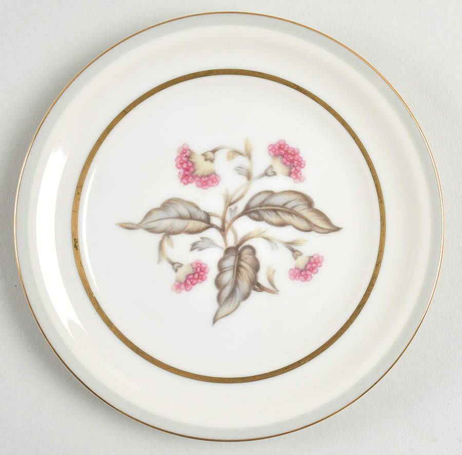 Ambassador Bread & Butter Plate by Royal Embassy-1