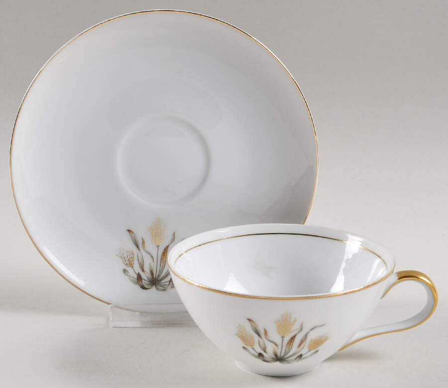 Golden Harvest Flat Cup & Saucer Set by Royal Embassy-1